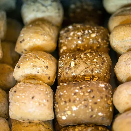 Sana塞新布拉酒店 4* 塞辛布拉