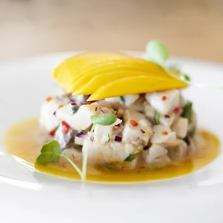 Sana塞新布拉酒店 酒店 4*